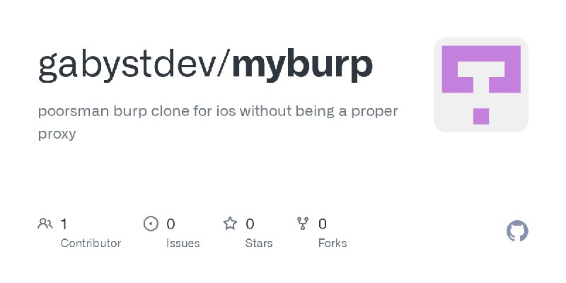 GitHub - gabystdev/myburp: poorsman burp clone for ios without being a proper proxy