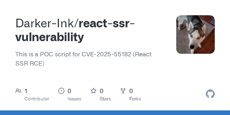 GitHub - Darker-Ink/react-ssr-vulnerability: This is a POC script for CVE-2025-55182 (React SSR RCE)