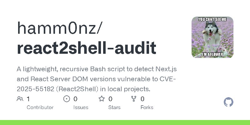 GitHub - hamm0nz/react2shell-audit: A lightweight, recursive Bash script to detect Next.js and React Server DOM versions vulnerable…