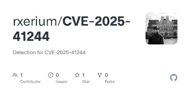 GitHub - rxerium/CVE-2025-41244: Detection for CVE-2025-41244