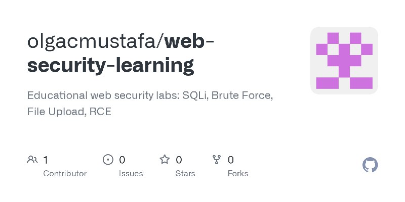 GitHub - olgacmustafa/web-security-learning: Educational web security labs: SQLi, Brute Force, File Upload, RCE