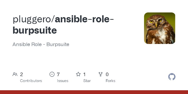 GitHub - pluggero/ansible-role-burpsuite: Ansible Role - Burpsuite