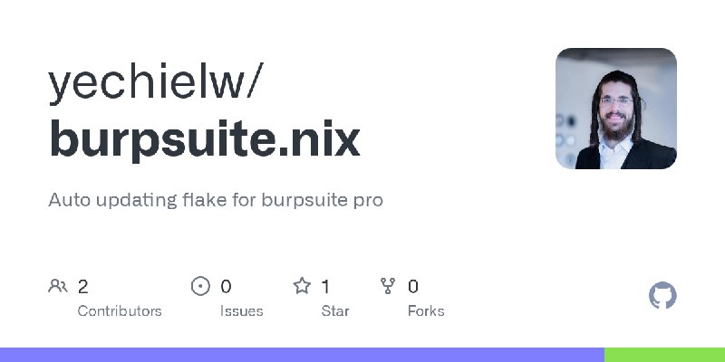GitHub - yechielw/burpsuite.nix: Auto updating flake for burpsuite pro