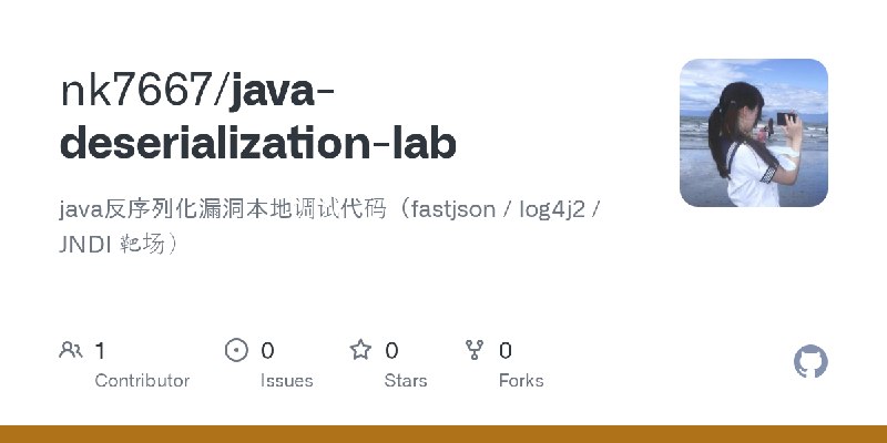 GitHub - nk7667/java-deserialization-lab: java反序列化漏洞本地调试代码（fastjson / log4j2 / JNDI 靶场）